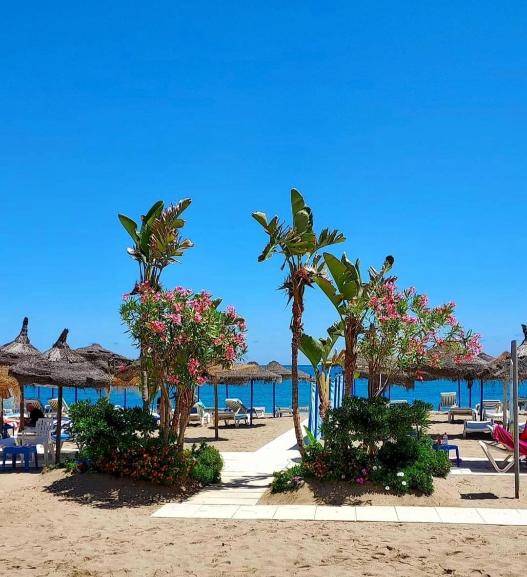 Luxury Beachfront Apartment With Pool, Sauna, Fitness And Gym In Province Malaga, Andalusia ミハス エクステリア 写真
