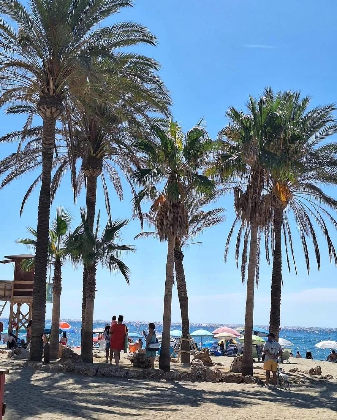 Luxury Beachfront Apartment With Pool, Sauna, Fitness And Gym In Province Malaga, Andalusia ミハス エクステリア 写真